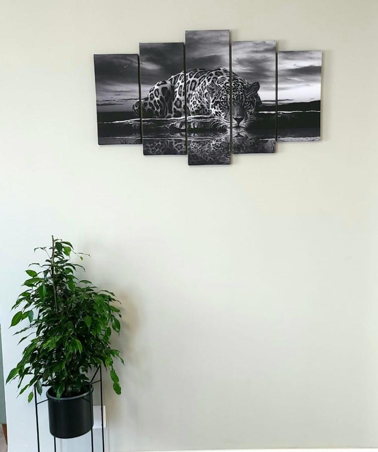 David'S Place Floreşti Zewnętrze zdjęcie